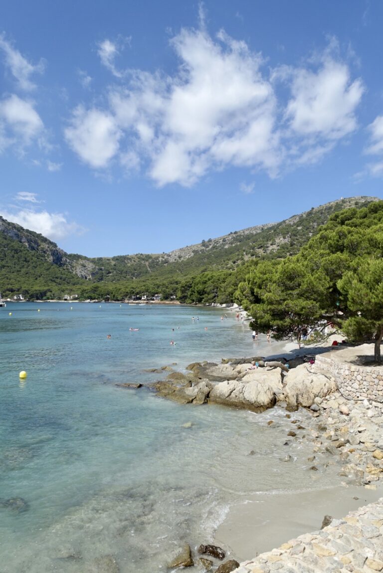 Mallorca med børn: guide til de bedste områder og oplevelser