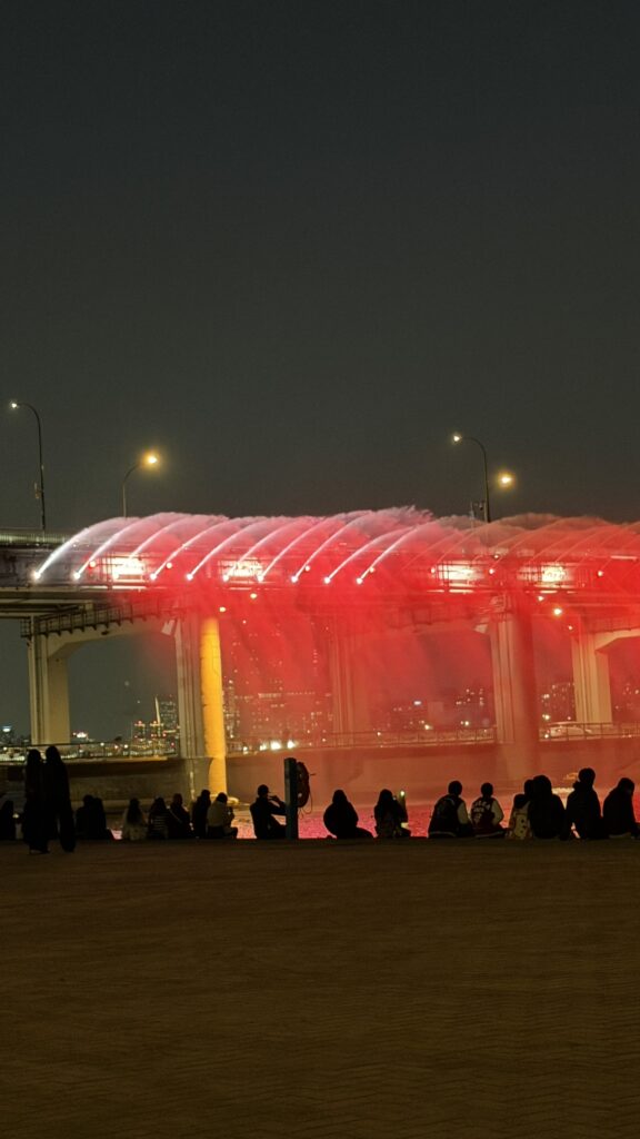 seoul-med-boern-hangang-river.jpg