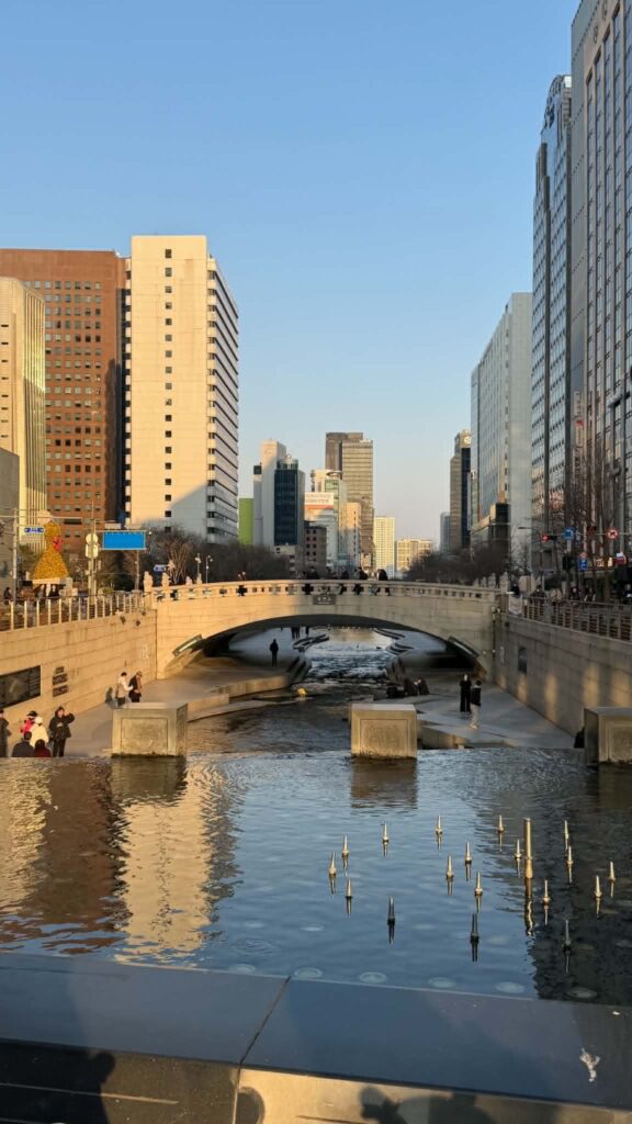seoul-med-boern-stream-jpg