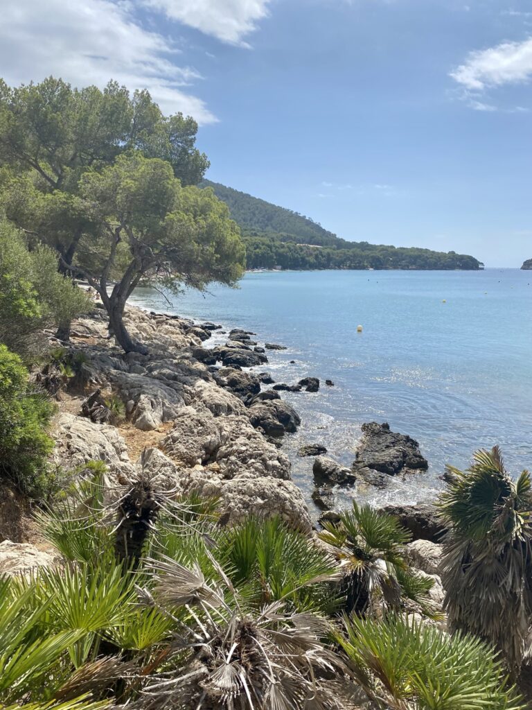 mallorcacoast.jpg